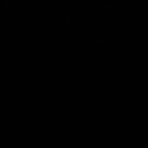 Meet your Posher, Ellie